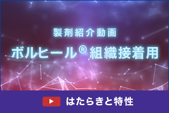 製剤紹介動画 ボルヒール組織接着用 はたらきと特性