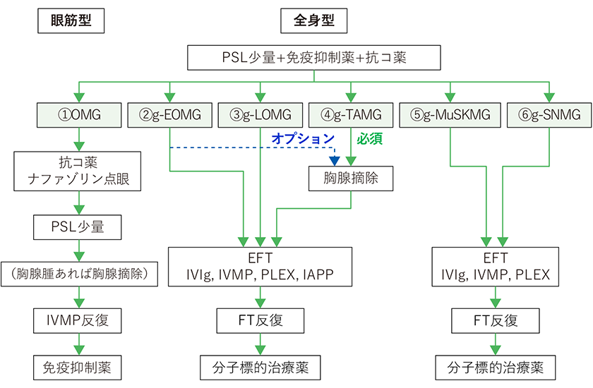 MG/LEMS診療ガイドライン2022＜成人期発症MG 病型ごとの治療アルゴリズム＞