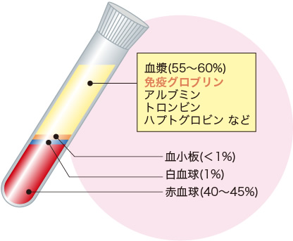 免疫グロブリン製剤のイラスト