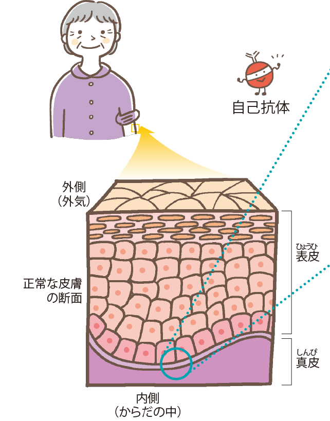 イラストイメージ